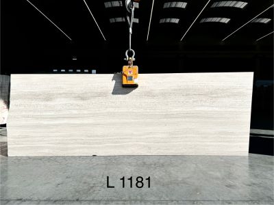 l1181