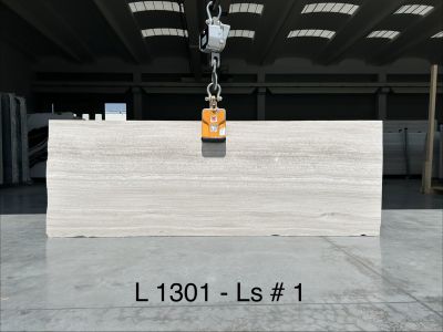 l1301